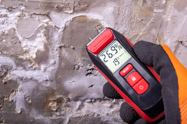 Best Office Mold Removal Services  in Rosemont, IL