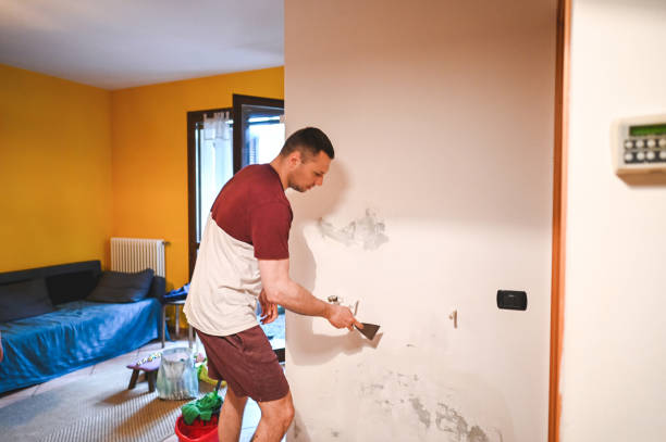Best Fast Mold Removal  in Rosemont, IL